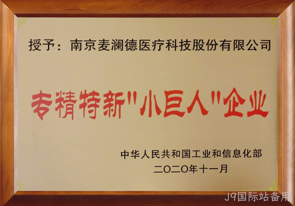 工信部专精特新小巨人企业